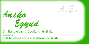 aniko egyud business card